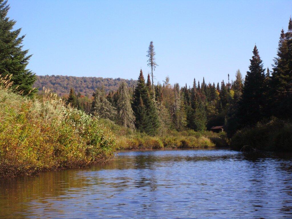 Photo: Carry Lean To From The Cedar River