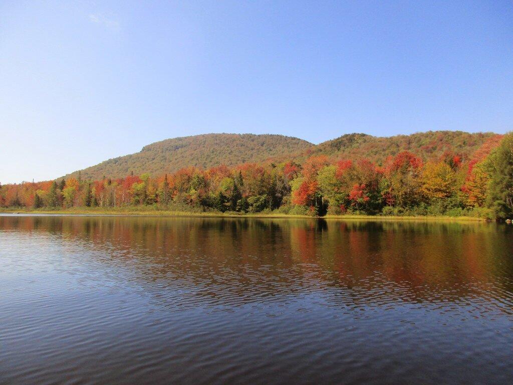 Photo: Sturges Hills Photo: Sturges Hills