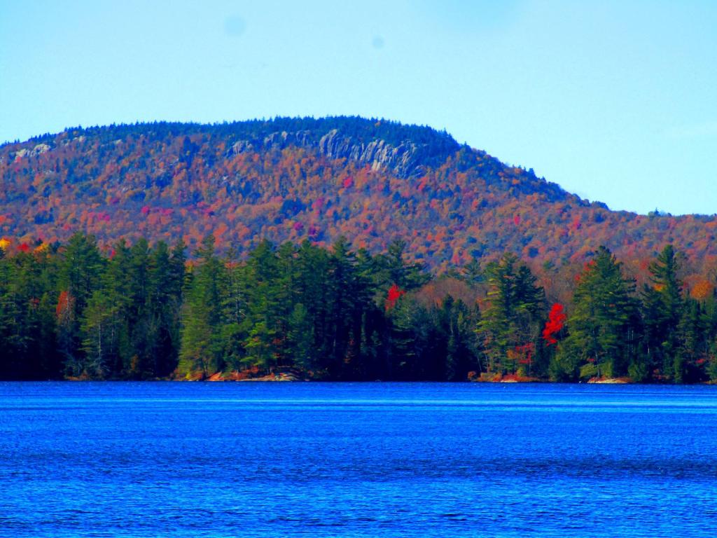 Photo: Horseshoe Lake Photo: Horseshoe Lake