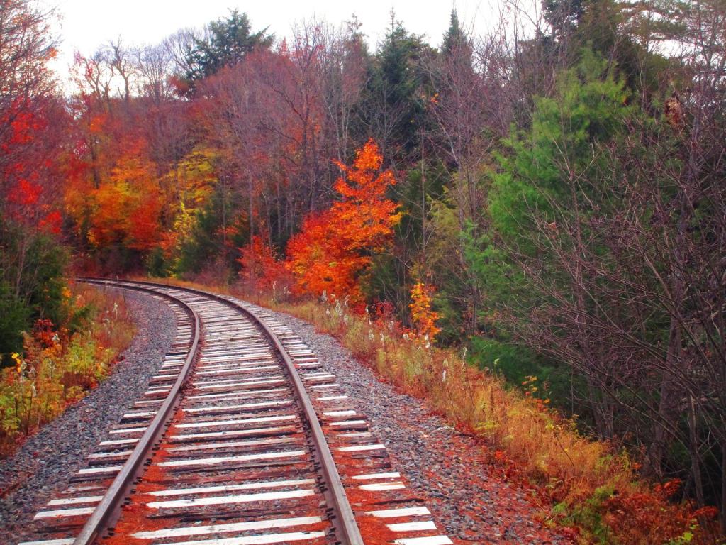 Photo: Rails