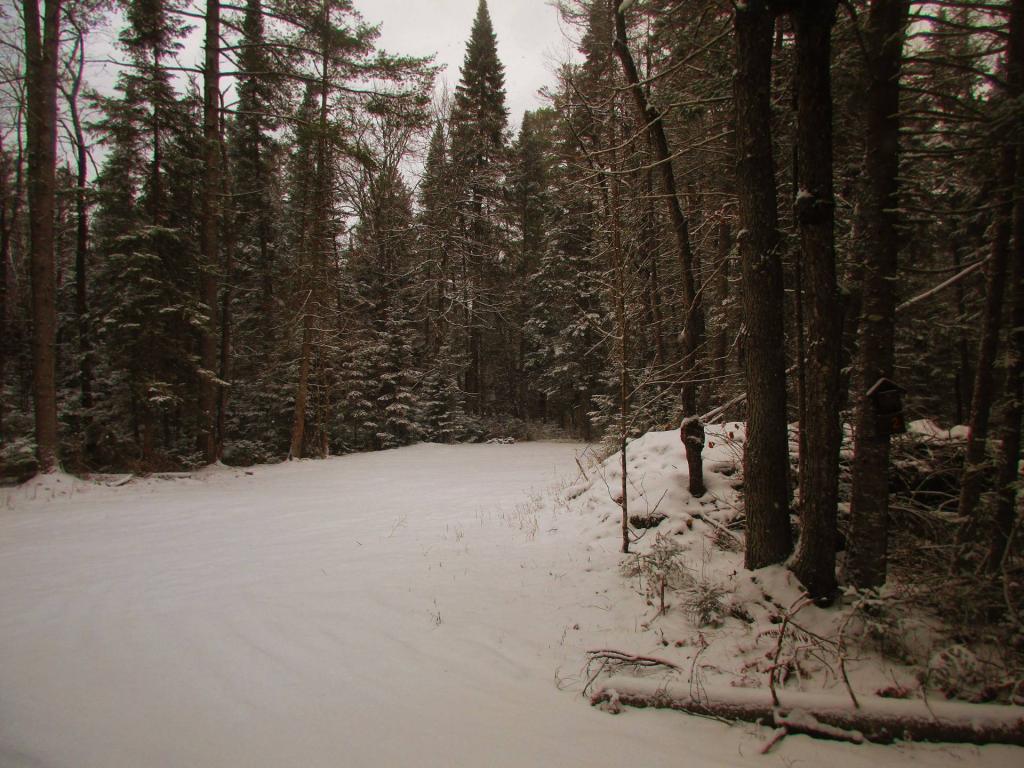 Photo: Moose Club Way Campsite 2