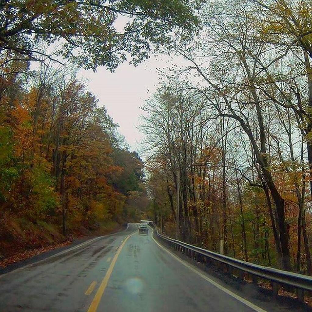 Photo: US 219 North of Thomas Photo: US 219 North of Thomas