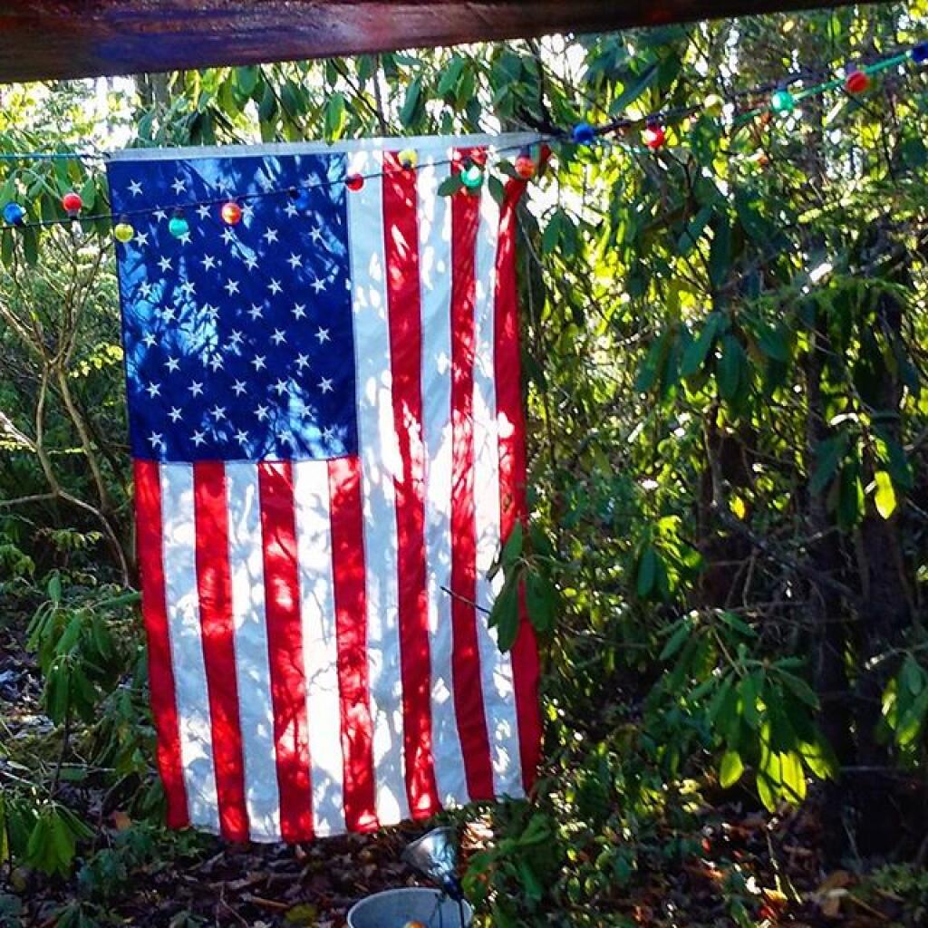 Photo: Camping in the mountain laurel Photo: Camping in the mountain laurel
