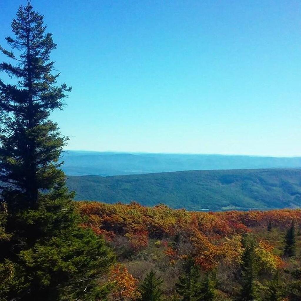Photo: Ridge