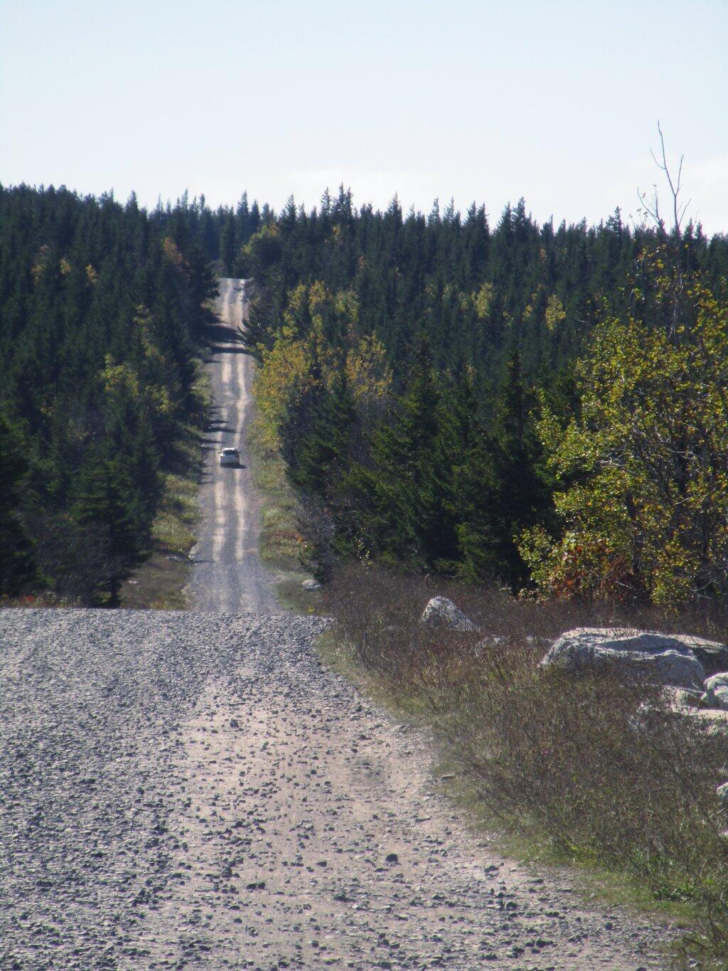 Photo: Dolly Sods Road