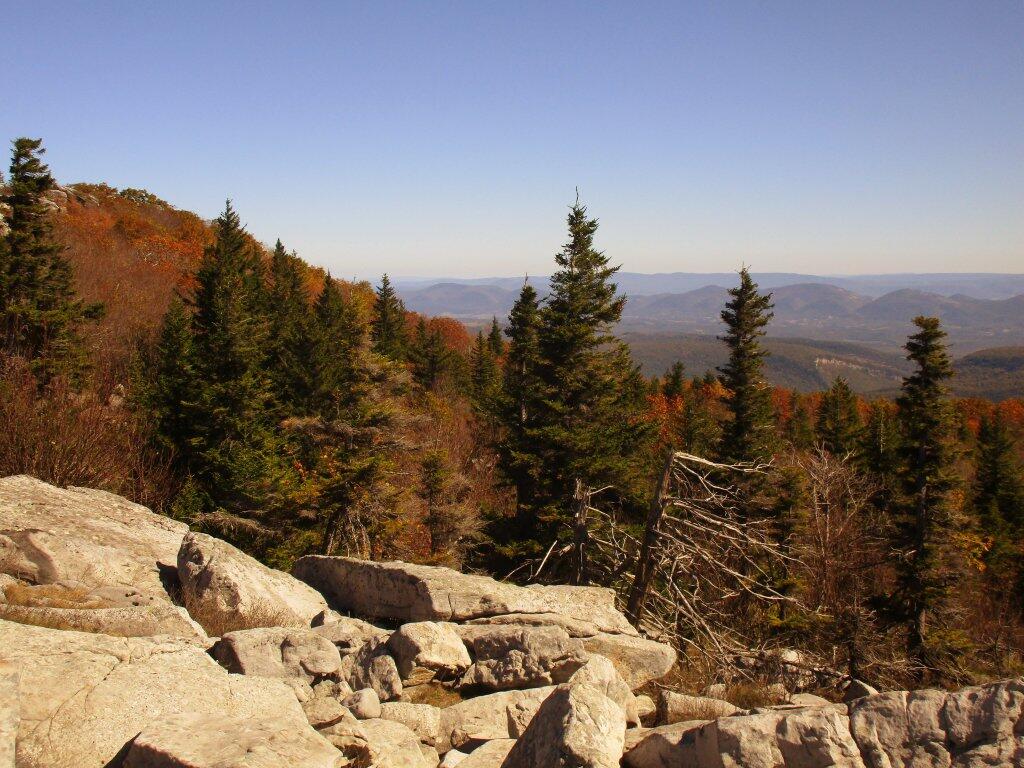Photo: North From Dolly Sods