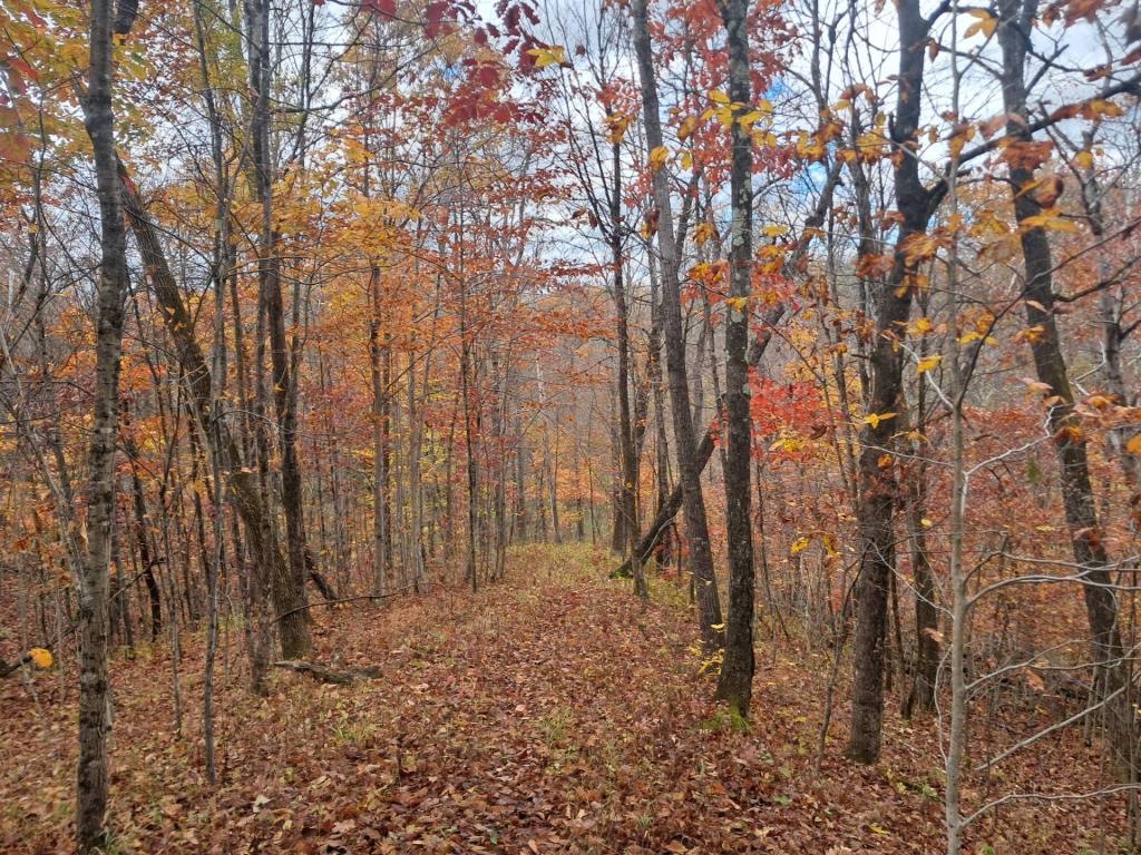 Photo: New Yellow Trail Photo: New Yellow Trail