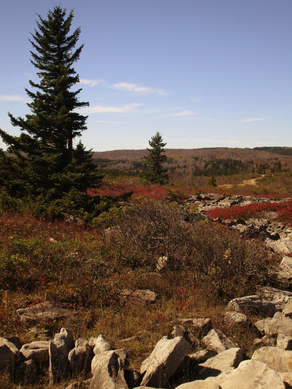 Photo: Wilderness
