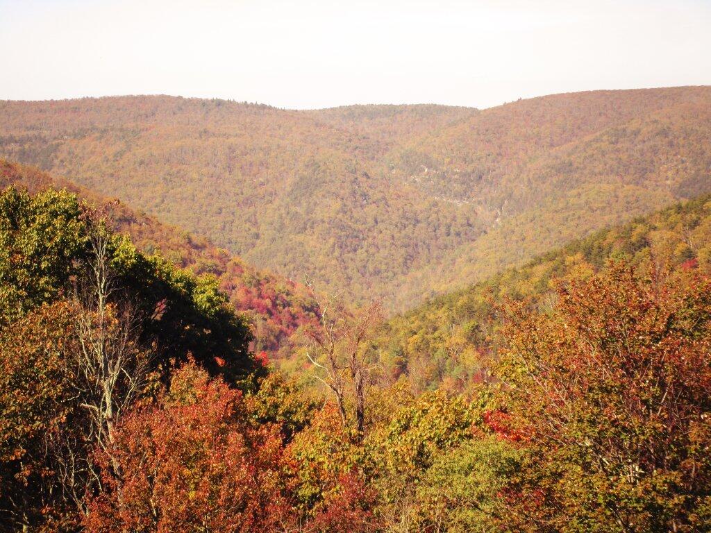 Photo: Along The Blue Ridge Parkway