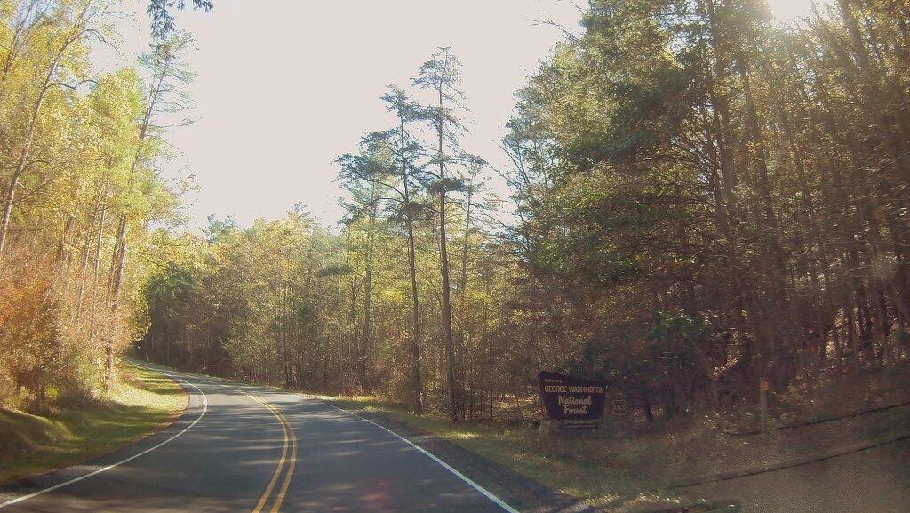 Photo: Entering George Washington National Forest