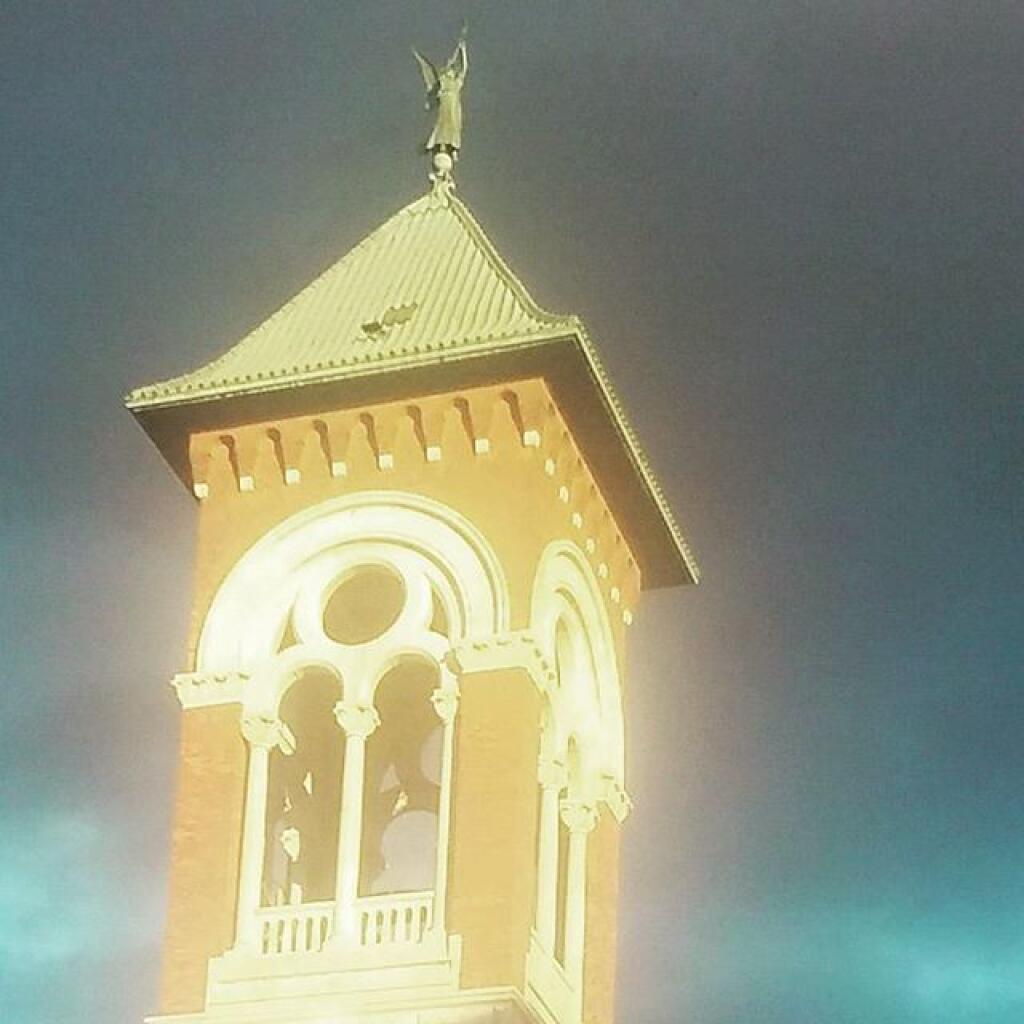 Photo: Sunlight