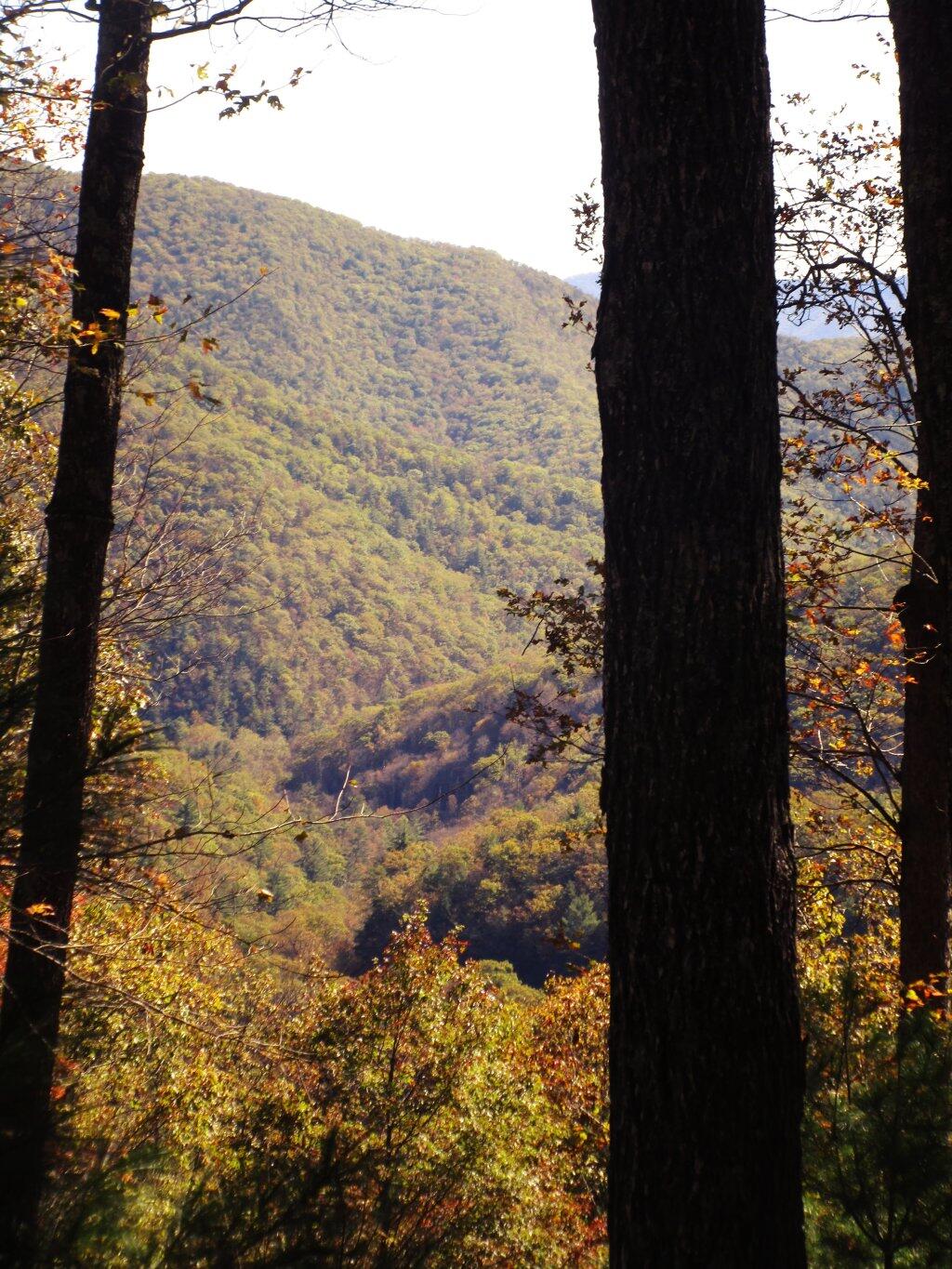 Photo: East