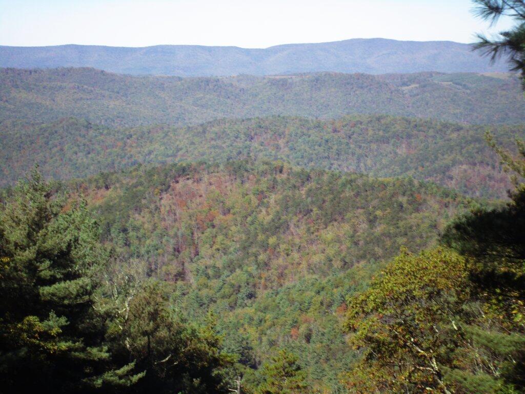 Photo: Virigina Wilderness