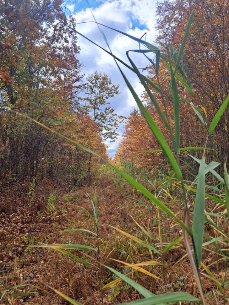 Photo: Pipeline Route