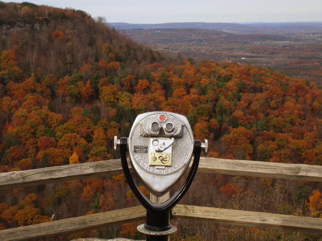 Photo: Observe Photo: Observe