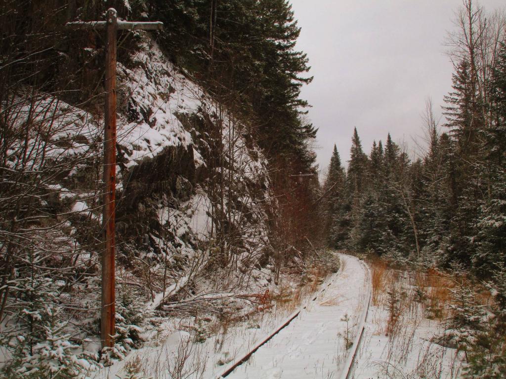 Photo: Winding Railroad Tracks