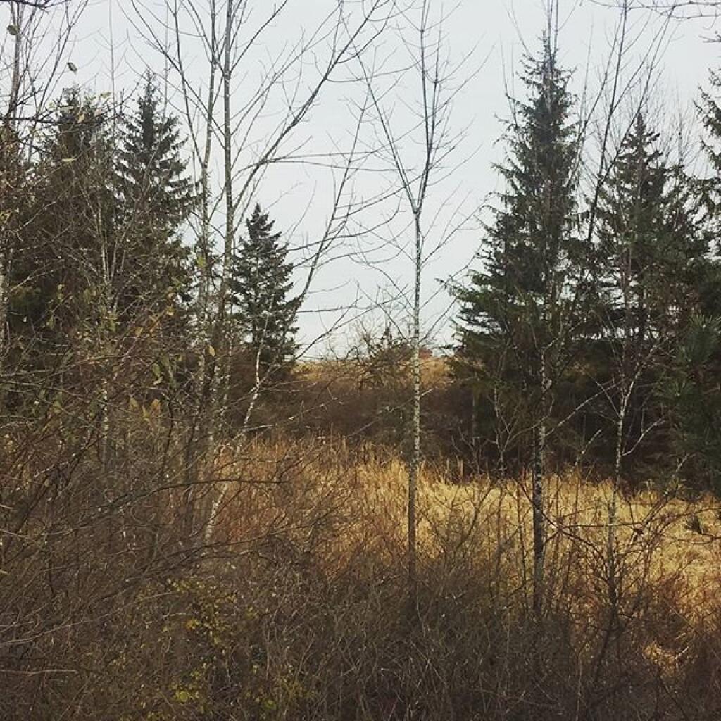 Photo: Quiet November Day