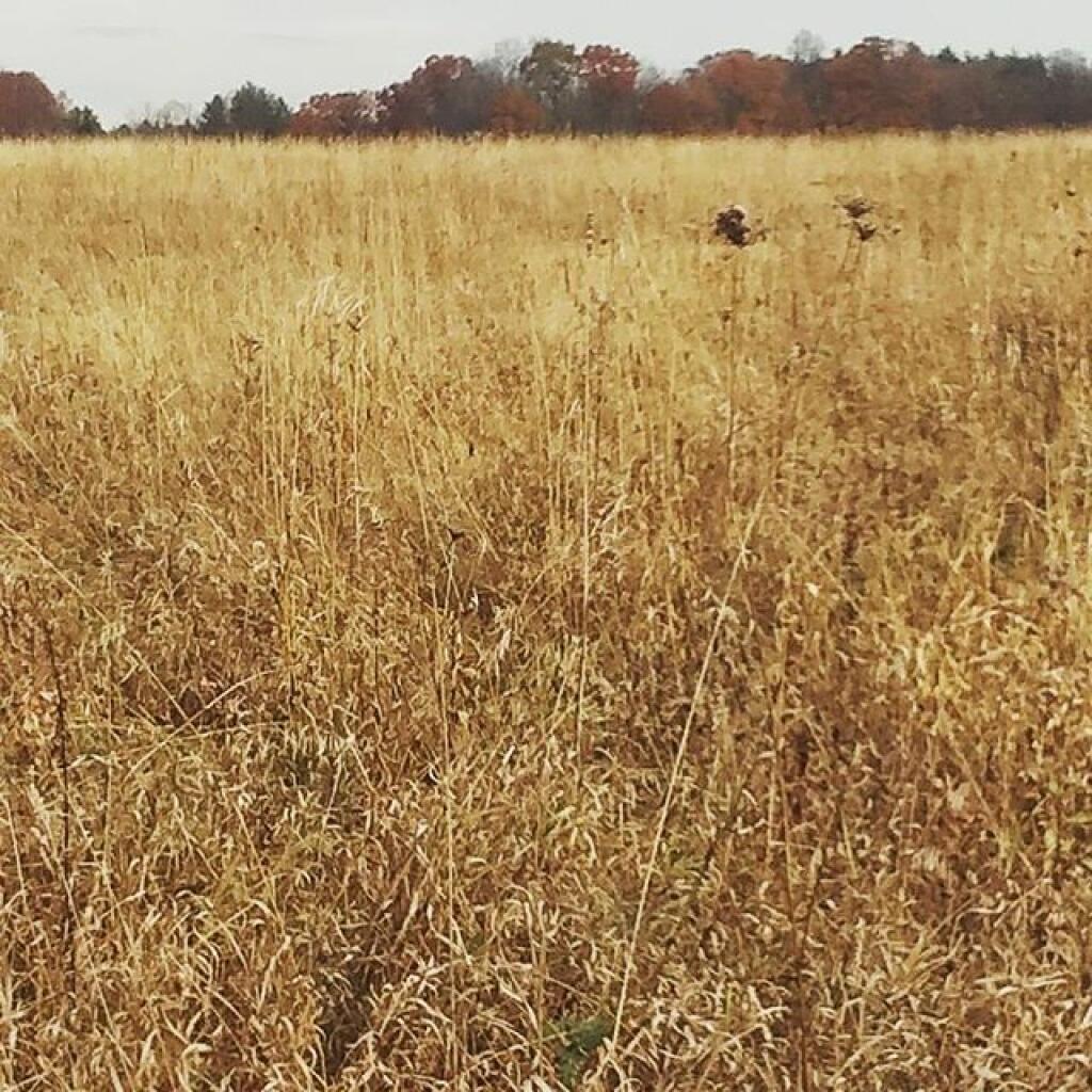 Photo: November