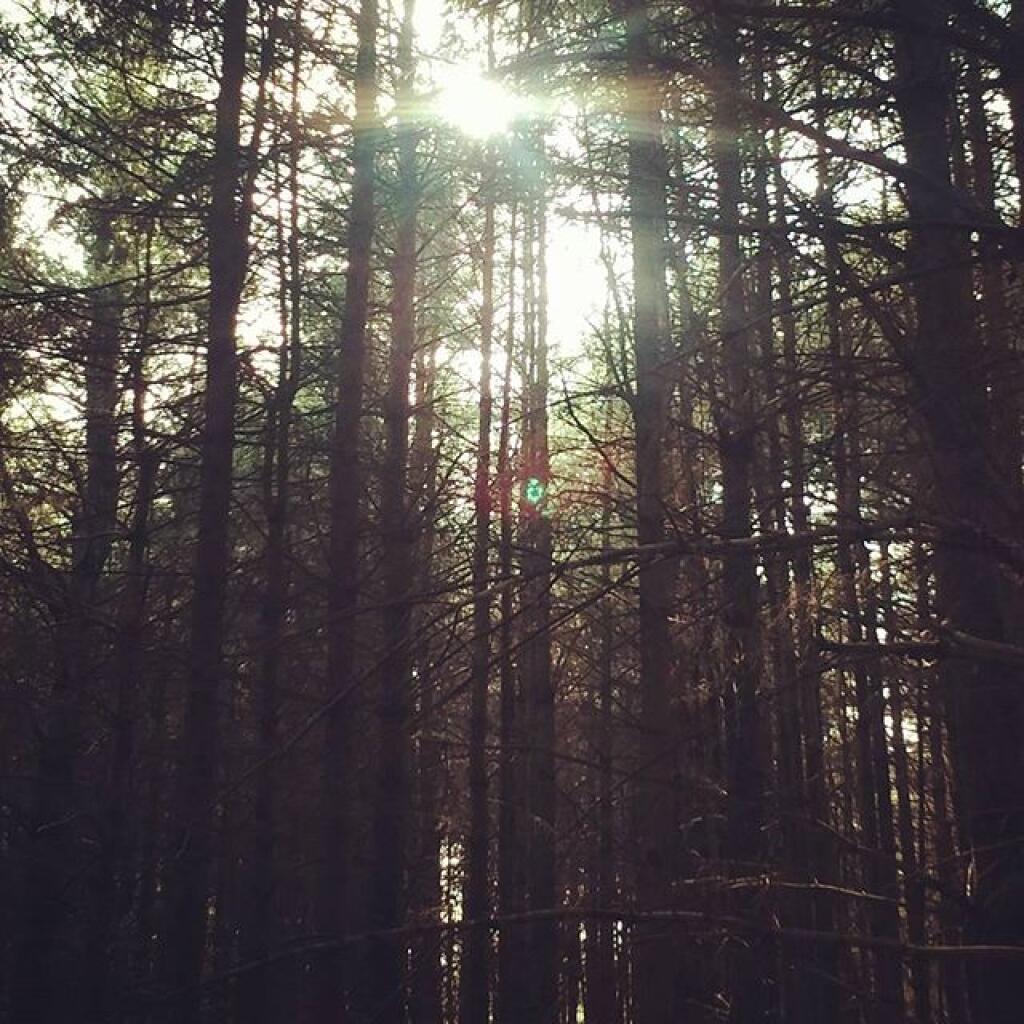 Photo: November Sun