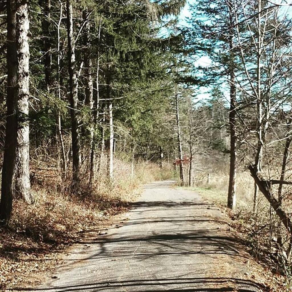 Photo: Roadway Photo: Roadway