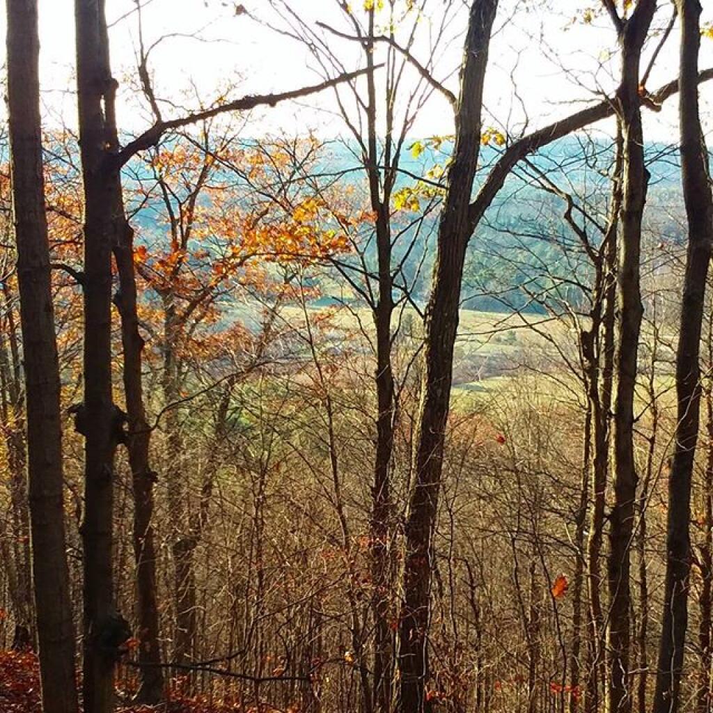 Photo: Overlook