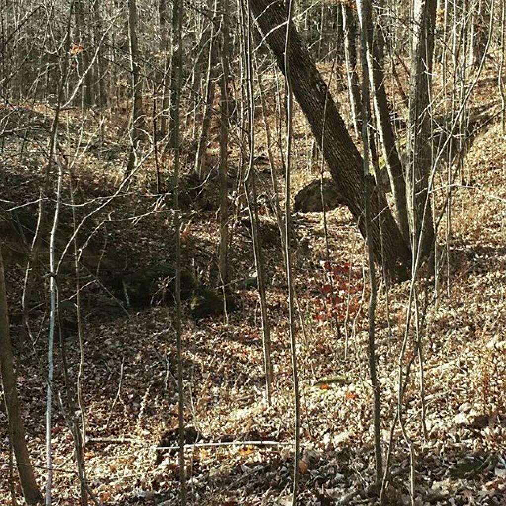 Photo: Top of the Ravine Photo: Top of the Ravine
