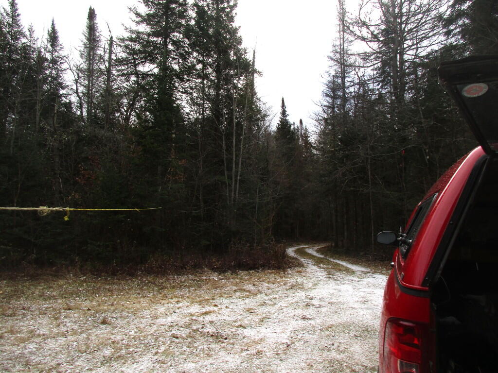Photo: Campsite Driveway
