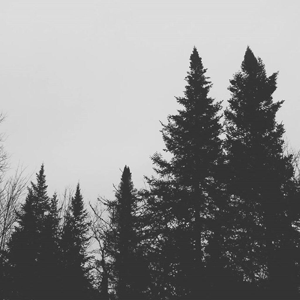 Photo: Gray morning