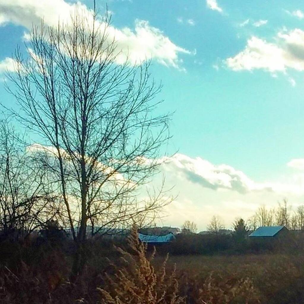 Photo: Quiet rural landscape Photo: Quiet rural landscape