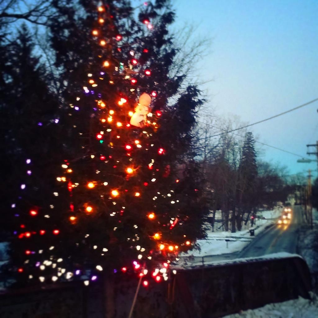 Photo: The Christmas tree on the Slingerlands Rail Trail