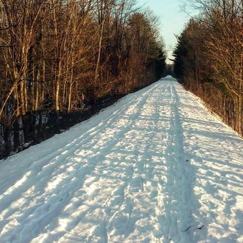 Photo: Elevation Section