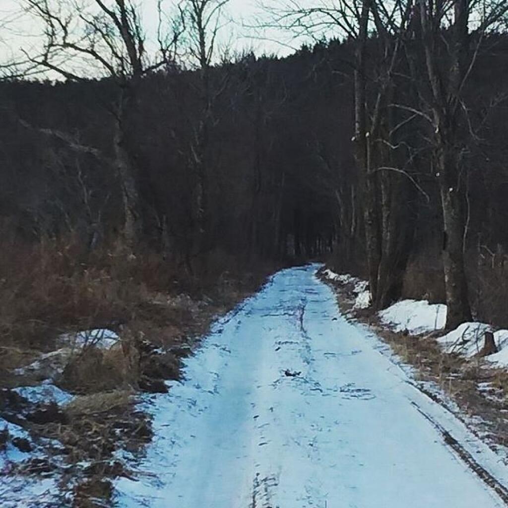 Photo: Upper Driveway to Preserve