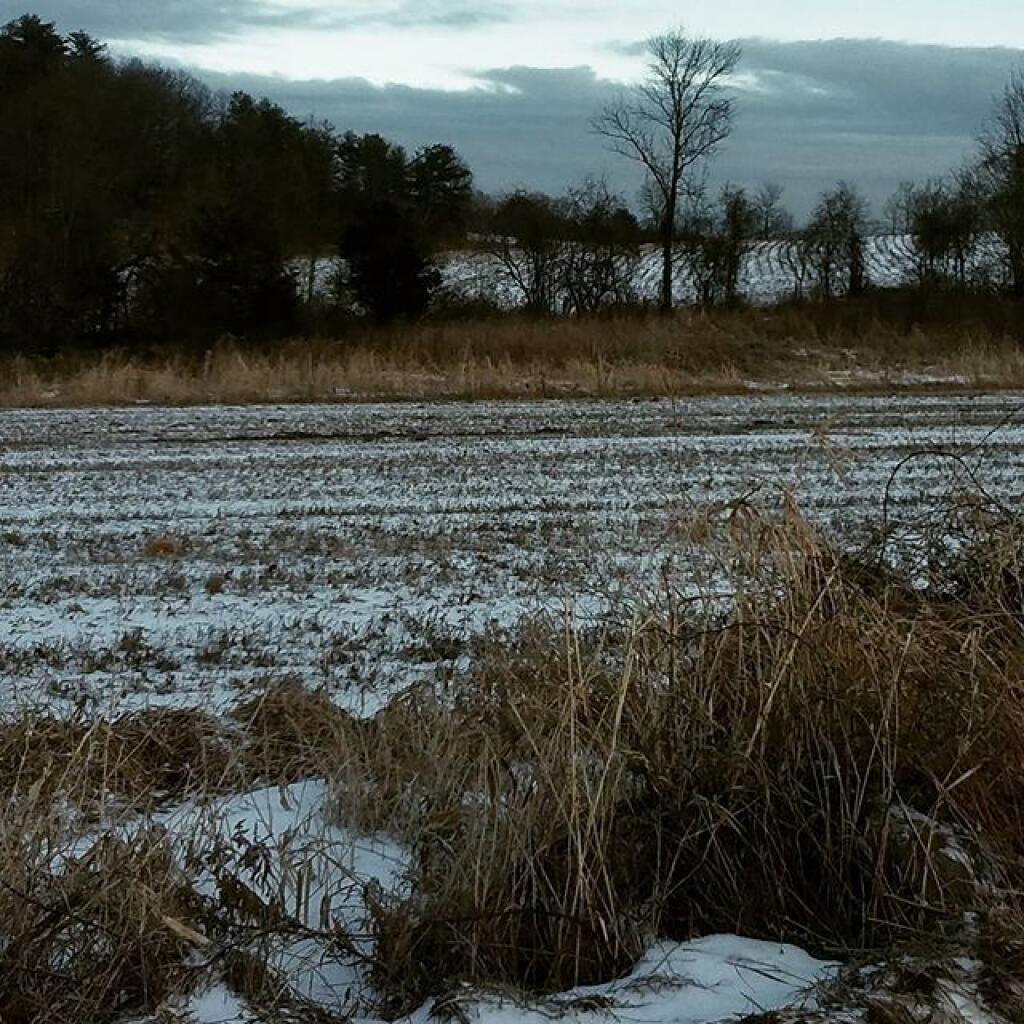 Photo: Fields on Copeland Hill