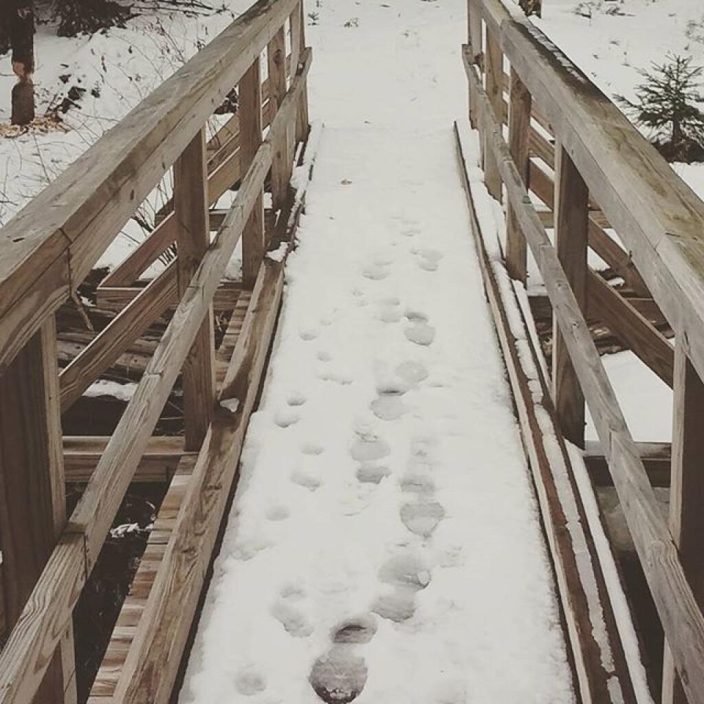 Photo: Bridge