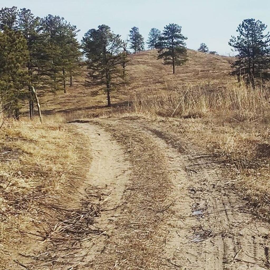 Photo: New Kings Barrens Connector Trail