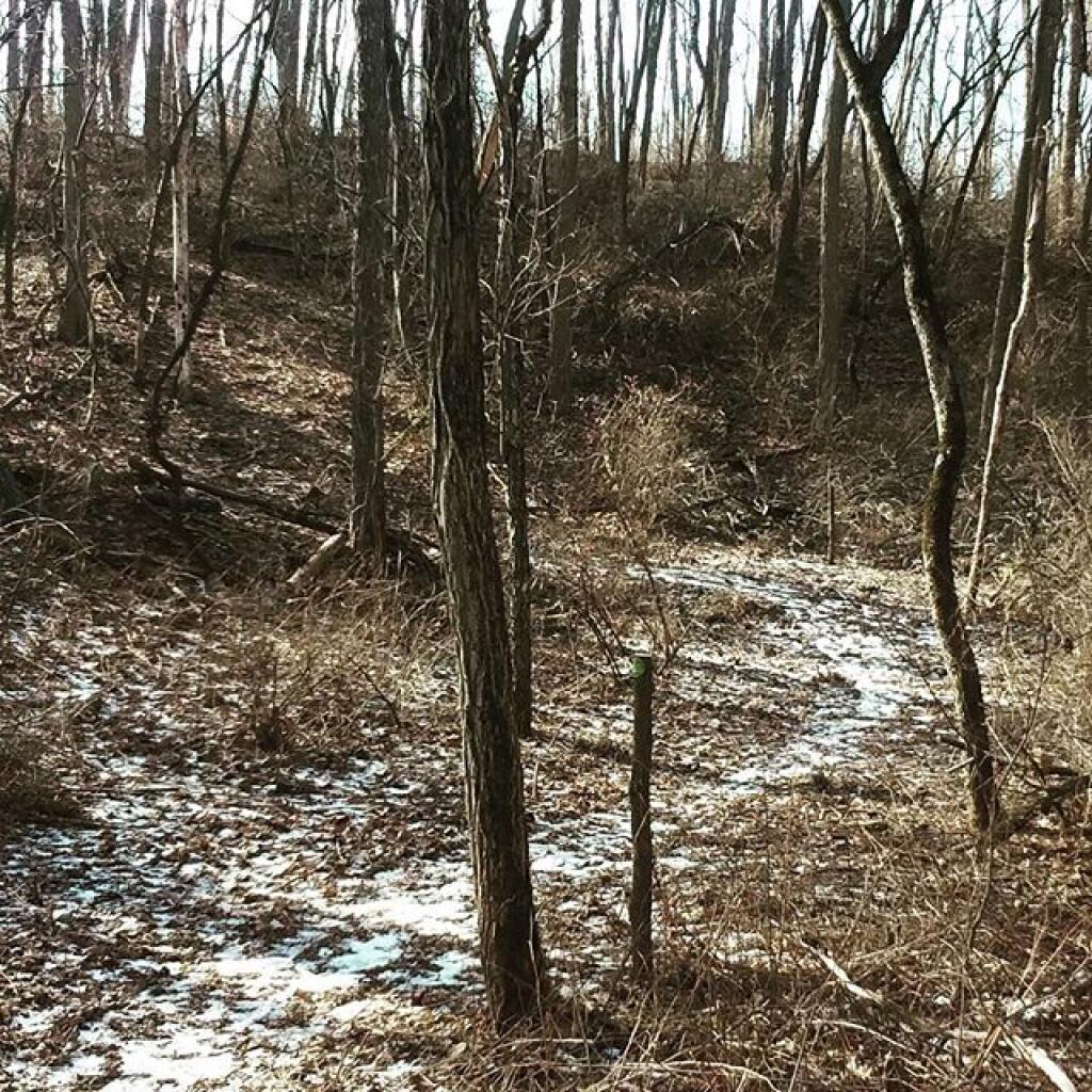 Photo: Parts of the new trail are quite rugged