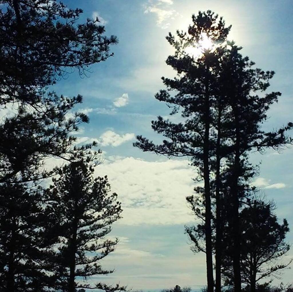 Photo: Sunshine