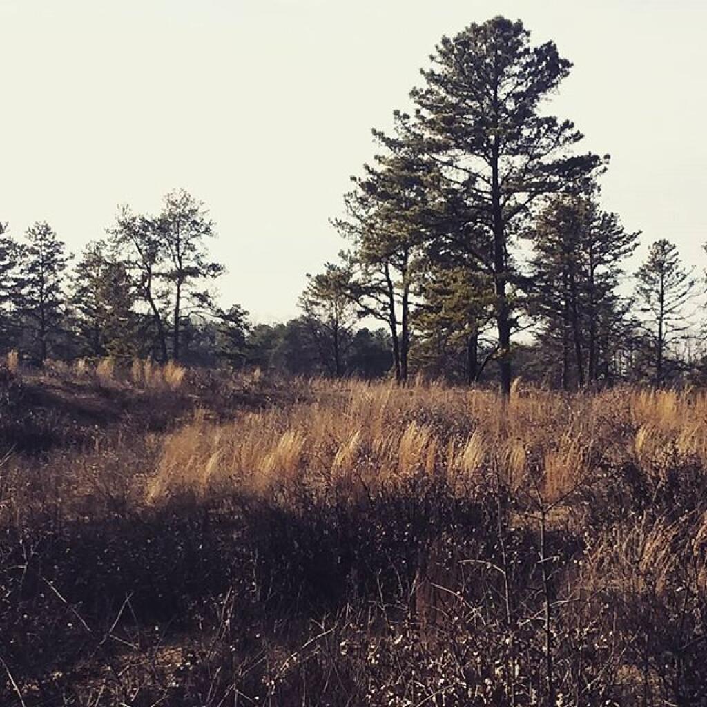 Photo: One of the many nice views along Kings Road Barrens