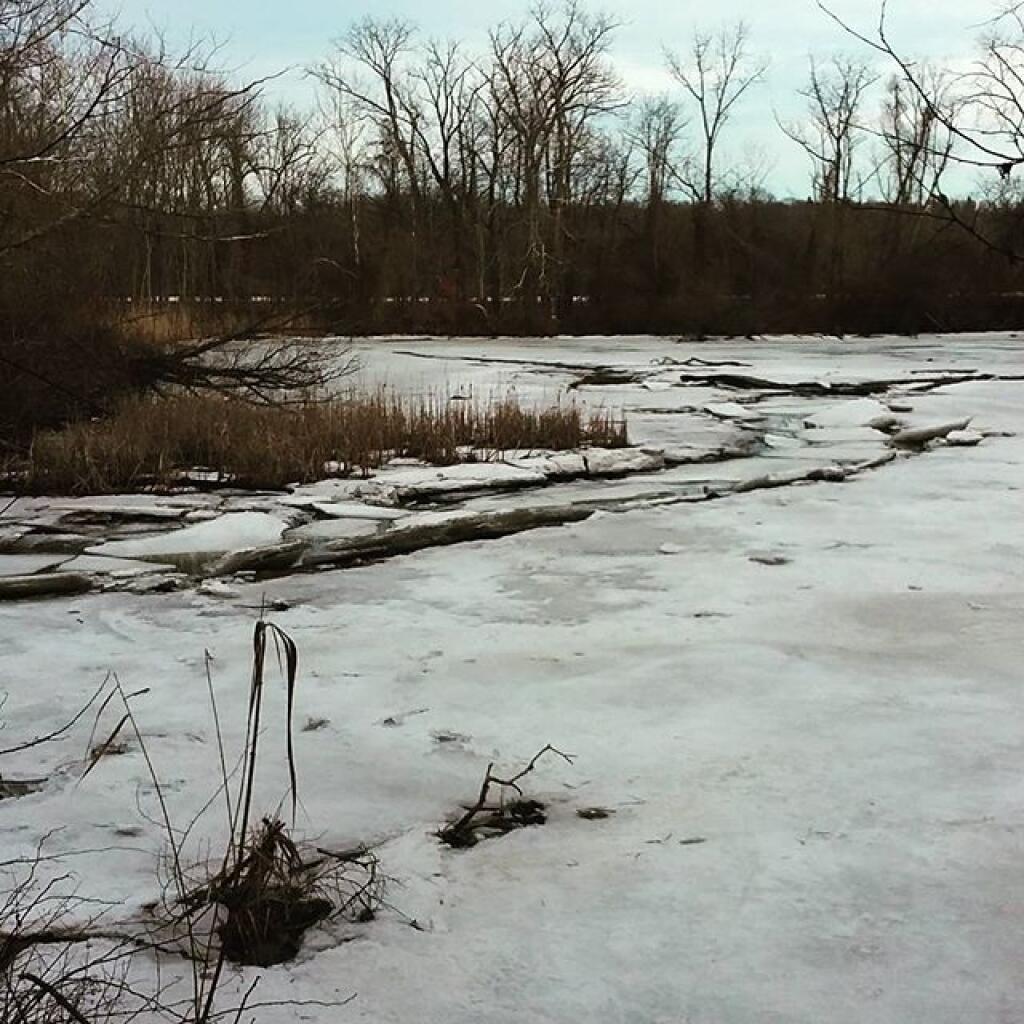 Photo: Tidal Pond