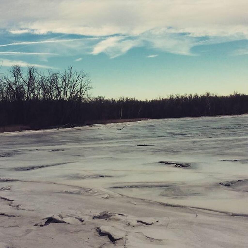Photo: Frozen Backwater