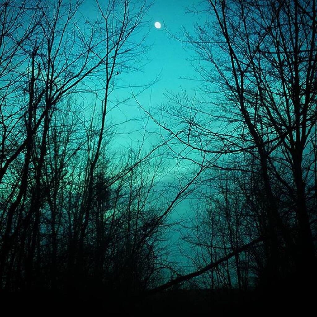 Photo: Almost the Blue Moon Photo: Almost the Blue Moon