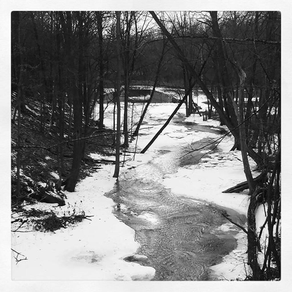 Photo: Crossing the Vly Creek