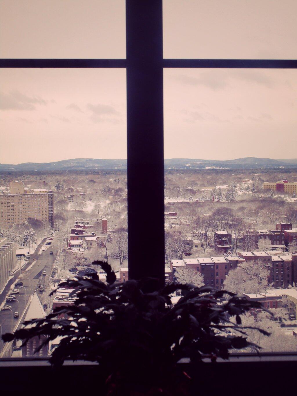 Photo: Christmas Cactus Evaluates The Latest Nor'Easter