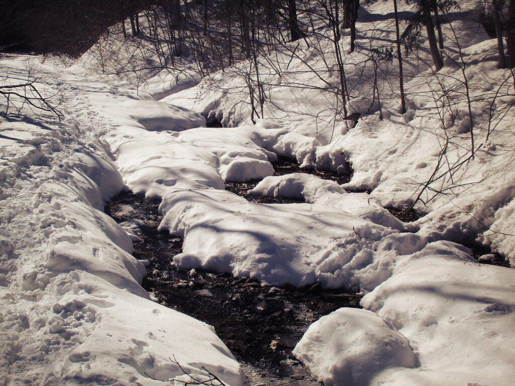Photo: Melted Photo: Melted