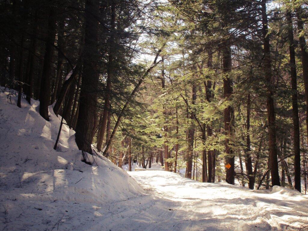 Photo: Snowmobiles Really Packed The Trail Down Well Photo: Snowmobiles Really Packed The Trail Down Well