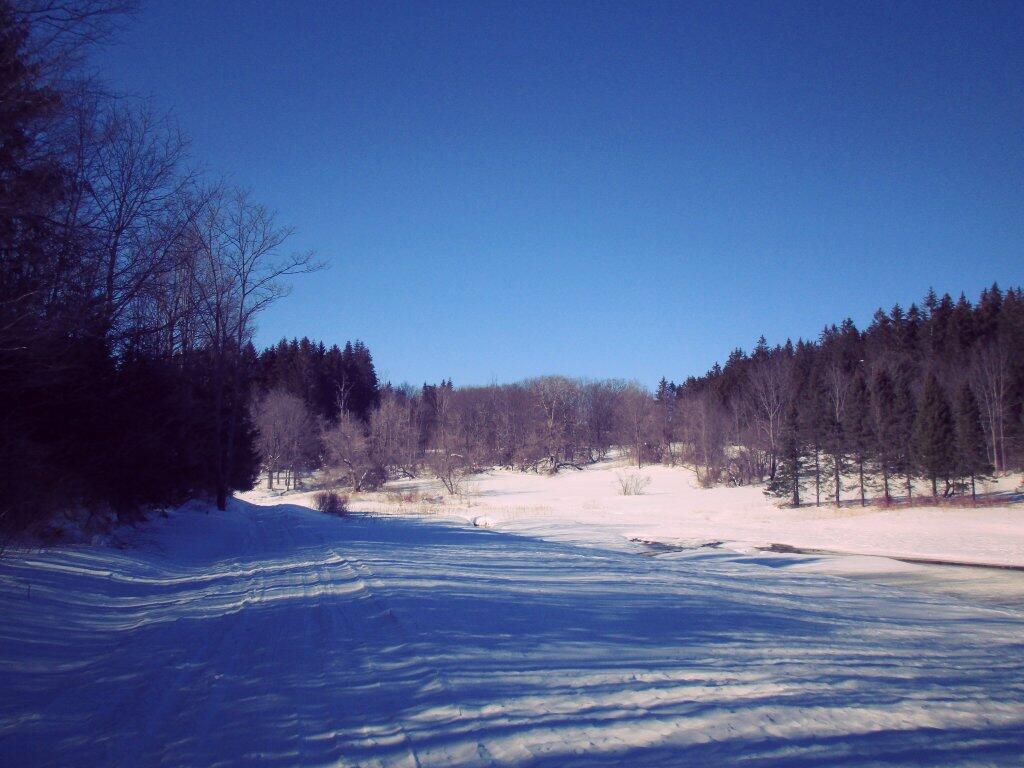 Photo: Thawing A Bit Photo: Thawing A Bit