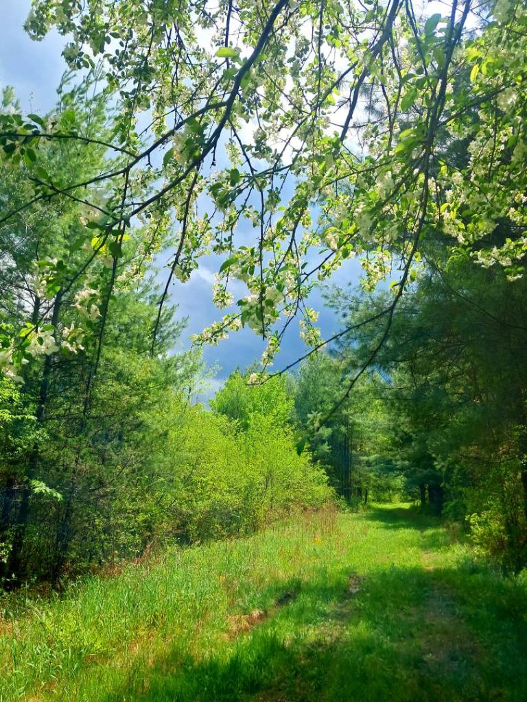 Photo: Untitled