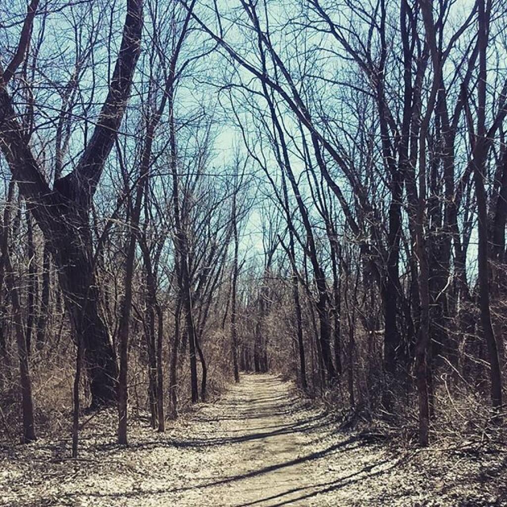 Photo: Path Photo: Path