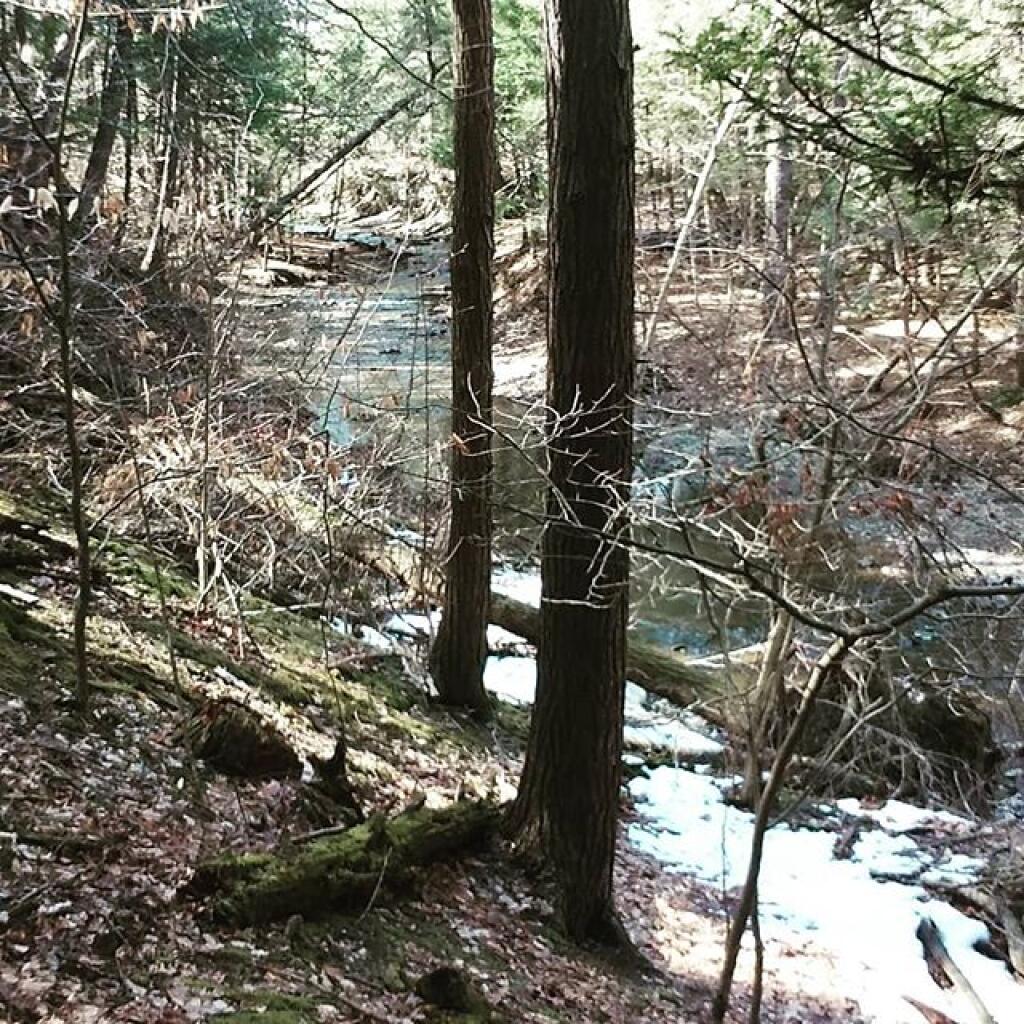 Photo: Little bit of snow along the Volmans Kill