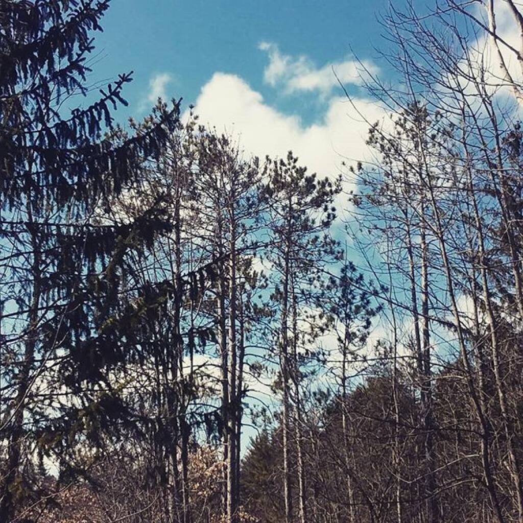 Photo: Turned out to be a beautiful day